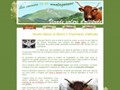 www.viande-salers.fr